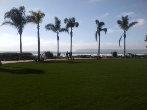 California Dreamin' - finally